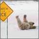 ice bear