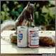 squirell getting drunk