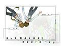 Pilot 02 & 01