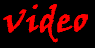 click to view the video section