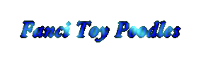Go to Fanci Toy Poodles