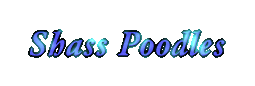Go to Shass Poodles