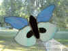 butterfly.JPG (65910 bytes)