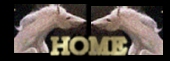 homebis22.jpg (9137 bytes)