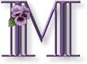 pmlow.gif (4739 bytes)