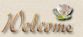 Welcome header