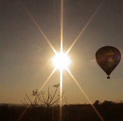 Sunrise balloon trip