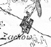 zachow.gif (35616 bytes)