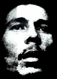 Bob Marley : the legend