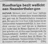 Dutch news article
