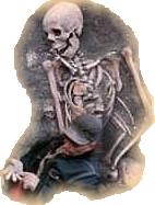 The skeleton of a giant found in the Netherlands