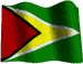 Guyana Flag