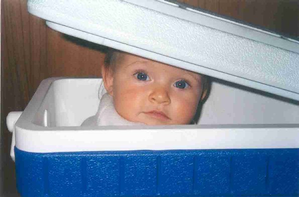 In the Chilly Bin