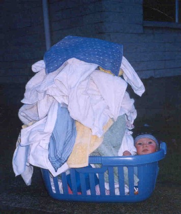 In the Washing Basket