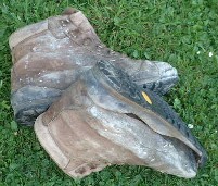 Used Boots on Display