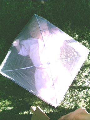 Small Tent
