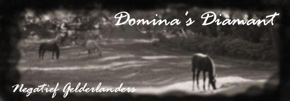 virtuaalihevonen Domina's Diamant