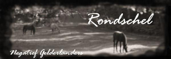 virtuaalihevonen Rondschel