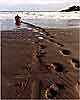 Canoeist
