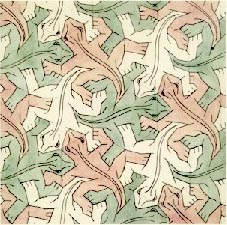 Lizards 1935