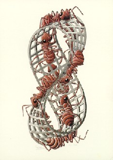 Mobius Strip II 1963