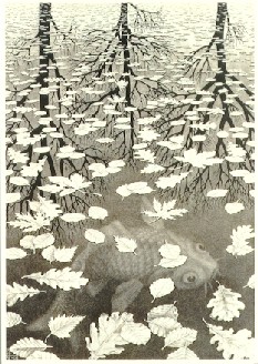 Three Worlds 1955