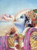 Krishna y caracola