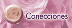 Conecciones