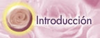 Introduccion