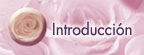 Introduccion