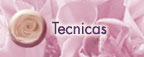 Tecnicas