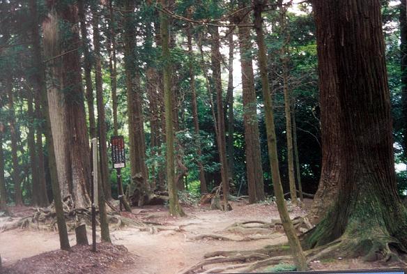 Mount Kurama Japan