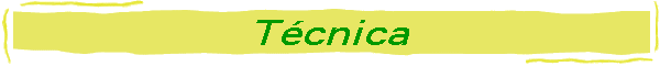 T�cnica