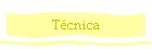 T�cnica