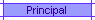 Principal