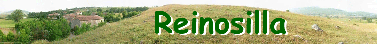 Reinosilla