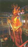 lama.jpg (11901 bytes)