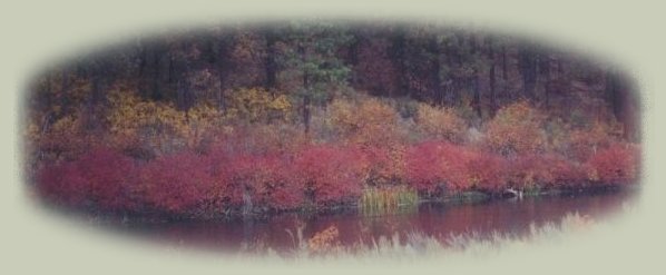 Explore our Economical, Alternative, Hideaways & Getaways, Private Cabins Vacation Rentals, RV Sites & Retirement Getaway Retreats.