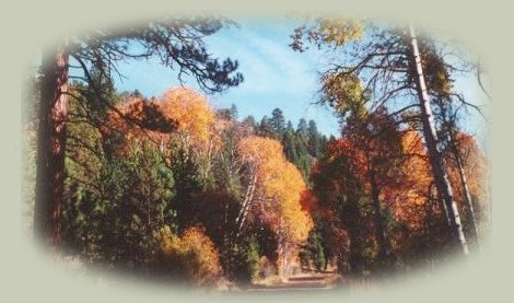 Affordable alternative private retirement retreats & natural rental hideaway getaways.