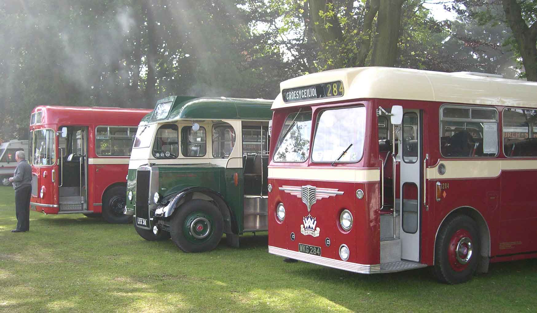 The "Fleet" at Abergavenny - Bailey Park