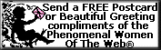 send a lovely postcard to your favorite Phenomenal Woman