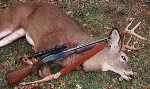 Deer Fall '95