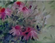 Click to enlarge "Purple Coneflowers"