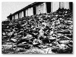 Majdanek Death Camp