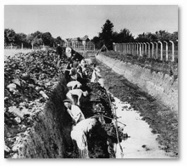 Prisoners at Neuengamme