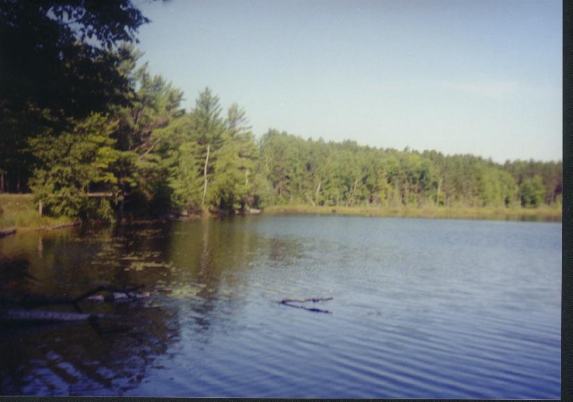 site