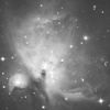 M42 (Orion Nebula)