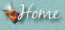 Our Main Page
