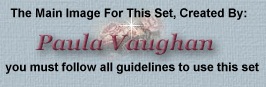 paula vaughan