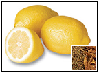 Lemon Information
